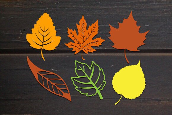 Everything You Need to Know About Laser Cut Fall Leaves SVG Files